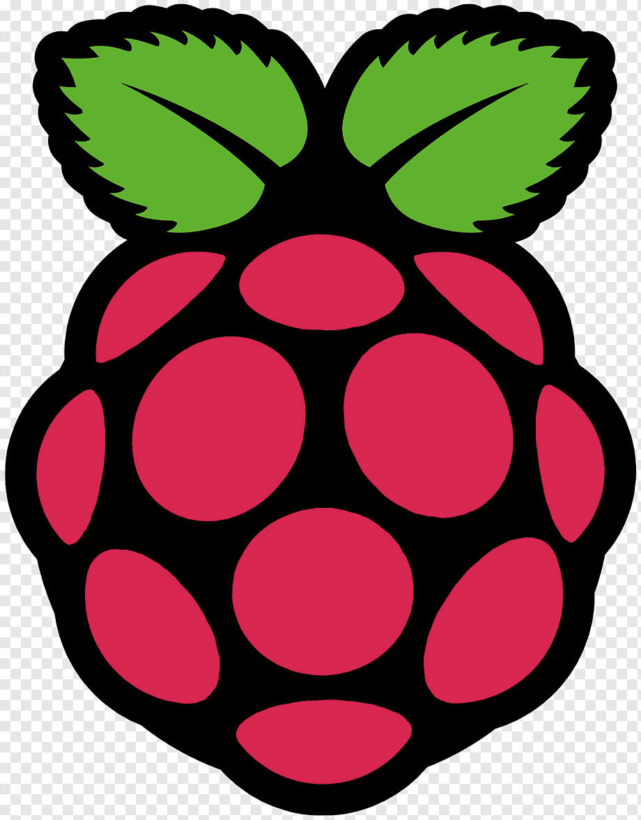 Rasberry Pi